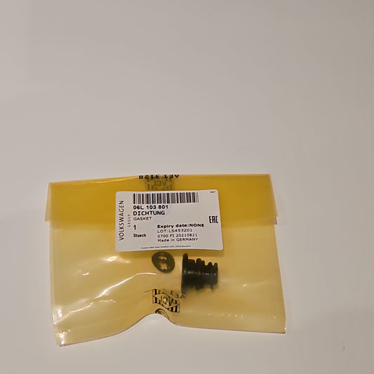 OEM 06L103801 drain plug