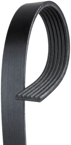 OEM 94610225230 Serpentine Belt Single belt drive